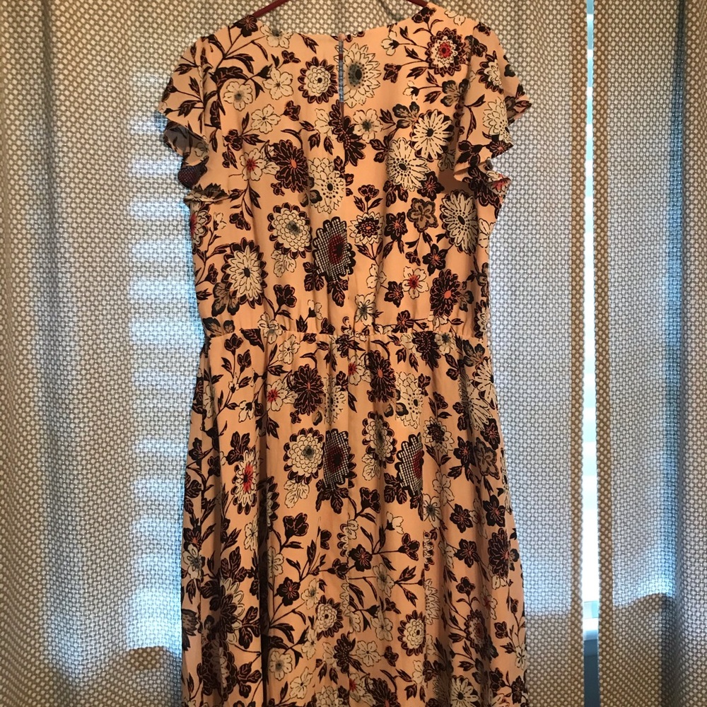 Loft floral print dress